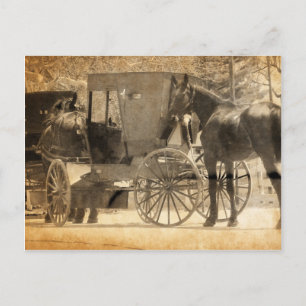 Buggy vor dem Pferd, Amish bringen Zuhause neues P Postkarte