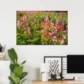 Bugle Lily Flower, Eastern Cape Poster (Heimbüro)