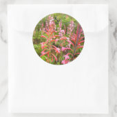 Bugle Lily Flower, Eastern Cape Runder Aufkleber (Tasche)