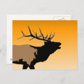 Bugling Bull Elch bei Sunset Original Wildlife Art Postkarte (Vorne/Hinten)
