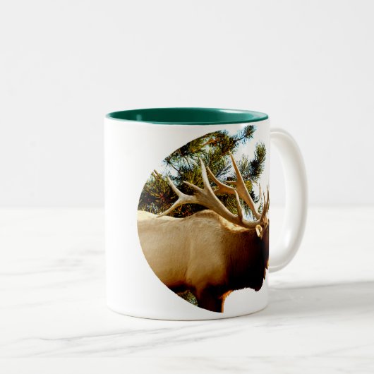 BUGLING ELCHE IN DEN KIEFERN ZWEIFARBIGE TASSE (VorderseiteRechts)