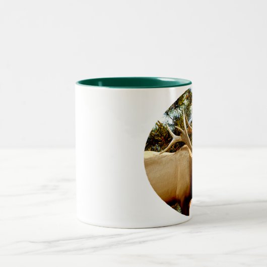 BUGLING ELCHE IN DEN KIEFERN ZWEIFARBIGE TASSE (Mittel)