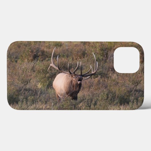 Bugling Elk Case-Mate iPhone Hülle (Rückseite (Horizontal))