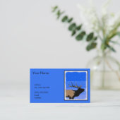 Bugling Elk im Winter - Original Wildlife Art Visitenkarte (Stehend Vorderseite)