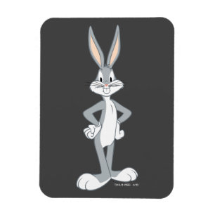 BUGS BUNNY™ Bunny Stare Magnet