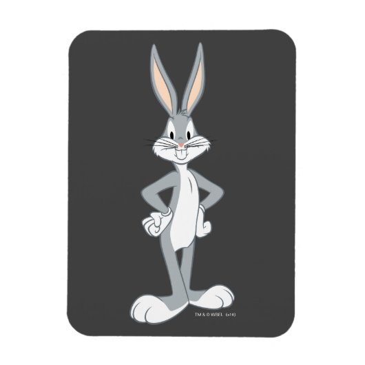 BUGS BUNNY™ | Bunny Stare Magnet (Vertikal)