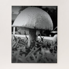 Bug's Eye View Puzzle