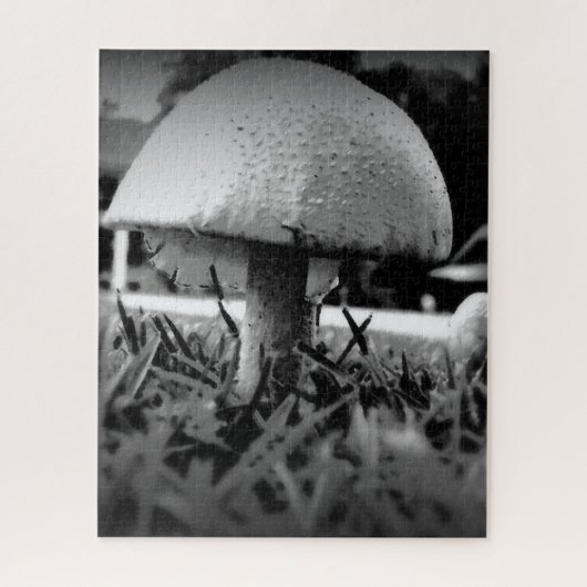 Bug's Eye View Puzzle (Vertikal)