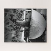 Bug's Eye View Puzzle (Horizontal)