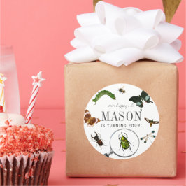 Bugs & Insects Vintage Boy Birthday Runder Aufkleber