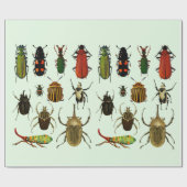 Bugs Insekten Beetles Entomologie Wilde Tiere Kuns Geschenkpapier (Flach)