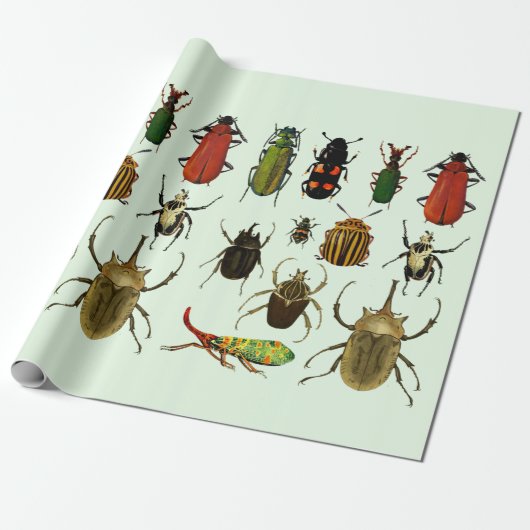 Bugs Insekten Beetles Entomologie Wilde Tiere Kuns Geschenkpapier (Ungerollt)