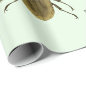 Bugs Insekten Beetles Entomologie Wilde Tiere Kuns Geschenkpapier (Rolleneckpunkt)
