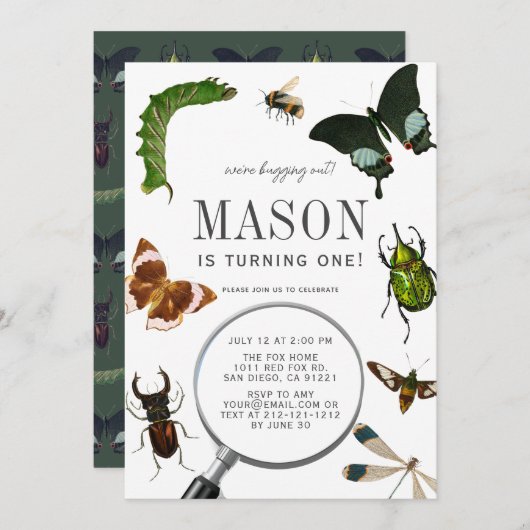 Bugs & Insekten Vintager Junge 1. Geburtstag Einladung (Vorne/Hinten)