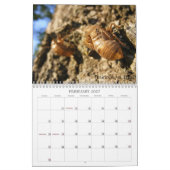 BUGS! Kalender 2012 (Feb 2027)