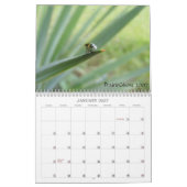 BUGS! Kalender 2012 (Jan 2027)