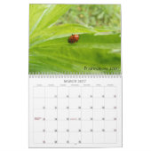 BUGS! Kalender 2012 (Mär 2027)