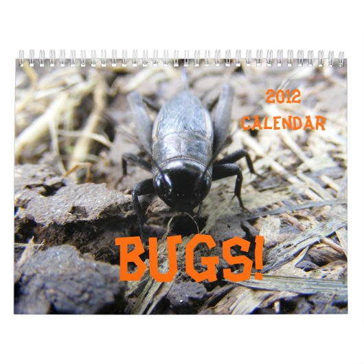BUGS! Kalender 2012 (Titelbild)