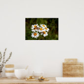 Bugs! Poster (Küche)