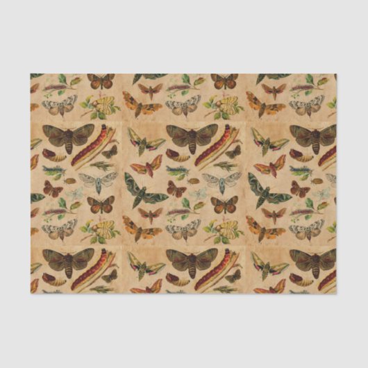 Bugs & Schmetterlinge Vintages, festes Papiermuste Seidenpapier (Vorderseite)
