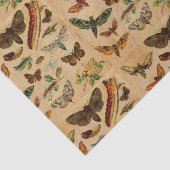 Bugs & Schmetterlinge Vintages, festes Papiermuste Seidenpapier (Ausschnitt)