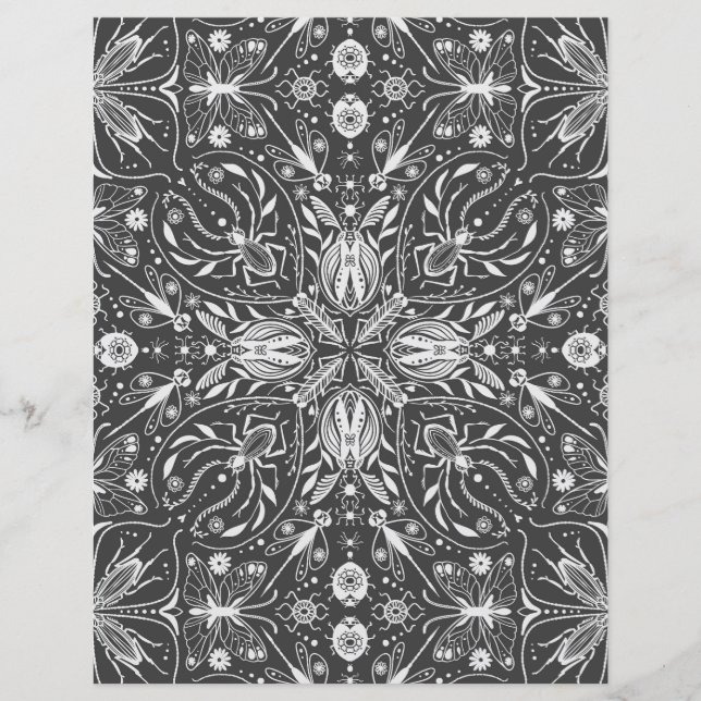 Bugs, schwarz, ganz weiß (Vorderseite)