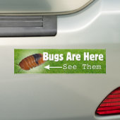 Bugs sind hier...Isopod Edition Autoaufkleber (Auf Auto)