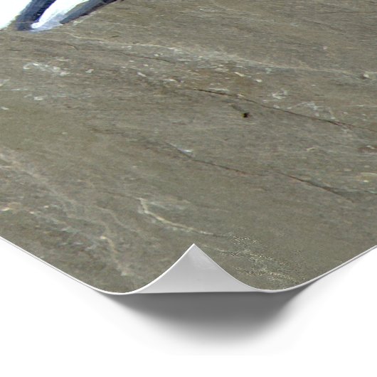 Bugs und Bierdrucke Poster (Ecke)