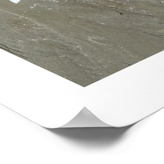 Bugs und Bräunen mit Grenzen Poster (Ecke)