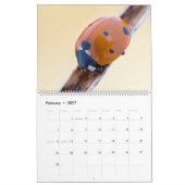 BUGS UPCLOSE 2021 KALENDER (Feb 2027)