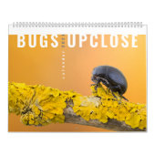 BUGS UPCLOSE 2021 KALENDER (Titelbild)