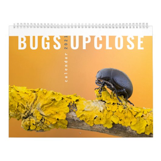 BUGS UPCLOSE 2021 KALENDER (Titelbild)