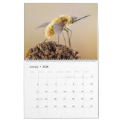 BUGS UPCLOSE 2021 KALENDER (Jan 2026)