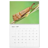 BUGS UPCLOSE 2021 KALENDER (Mär 2027)