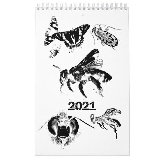 Bugs World - Insekten - 2022 Kalender (Titelbild)