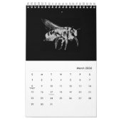 Bugs World - Insekten - 2022 Kalender (Mär 2026)