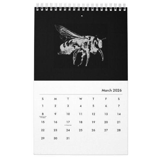 Bugs World - Insekten - 2022 Kalender (Mär 2026)