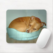 Bugsy Mousepad (Mit Mouse)