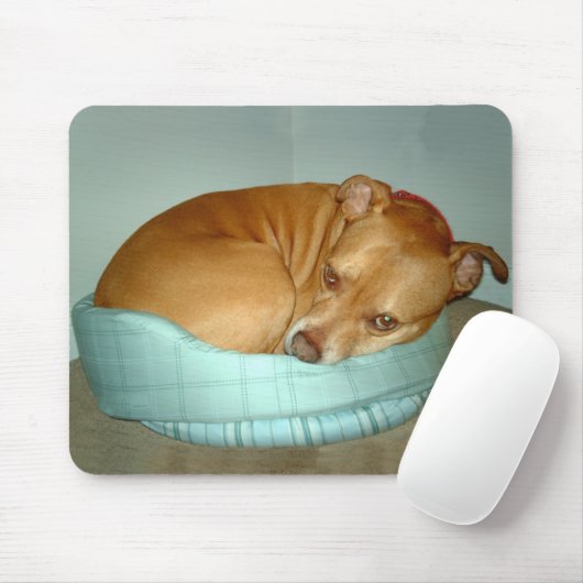 Bugsy Mousepad (Mit Mouse)