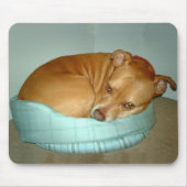 Bugsy Mousepad (Vorne)