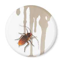 Bugzeez_Icky Sticky Roaches tränken Kühlschrankmag