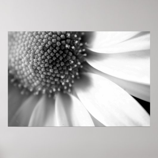 Bühnen des Lebens Poster (Vorne)