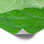 BÜHNEN DES LEBENS POSTER (Ecke)