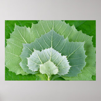 BÜHNEN DES LEBENS POSTER