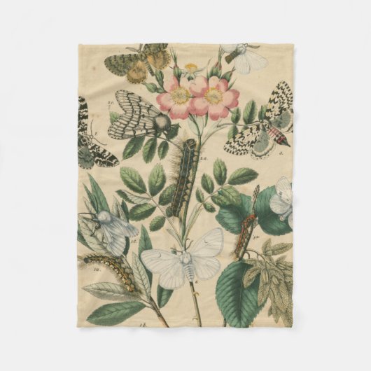 Bühnen des Schmetterlings-Lebens durch Fleecedecke (Vorderseite)