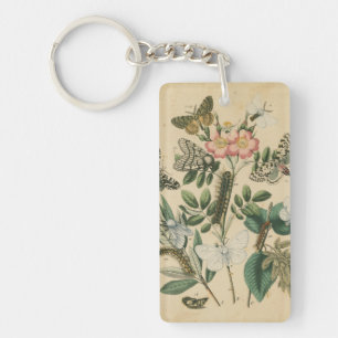 Bühnen des Schmetterlings-Lebens durch Schlüsselanhänger