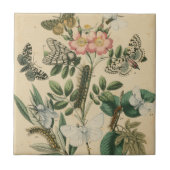 Bühnen des Schmetterlingslebens von Vision Studio Fliese (Vorderseite)