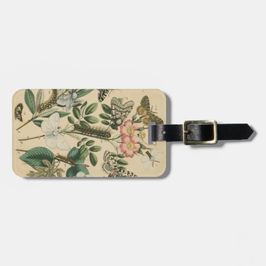 Bühnen des Schmetterlingslebens von Vision Studio Gepäckanhänger (Vorderseite horizontal)