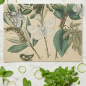 Bühnen des Schmetterlingslebens von Vision Studio Handtuch (Gefaltet)