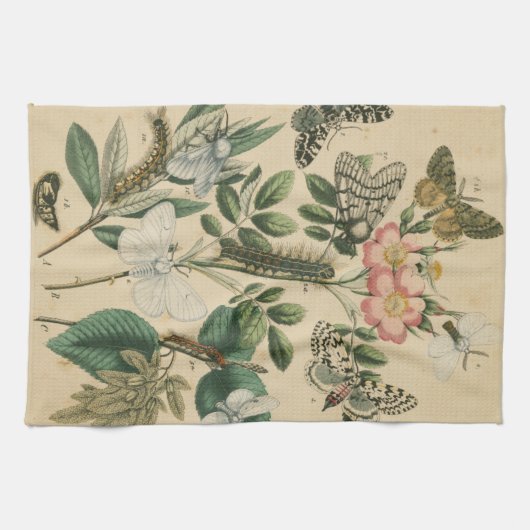 Bühnen des Schmetterlingslebens von Vision Studio Handtuch (Horizontal)